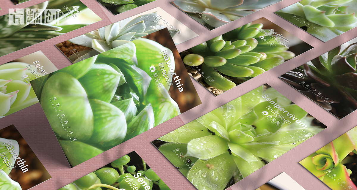 品牌形象與建設