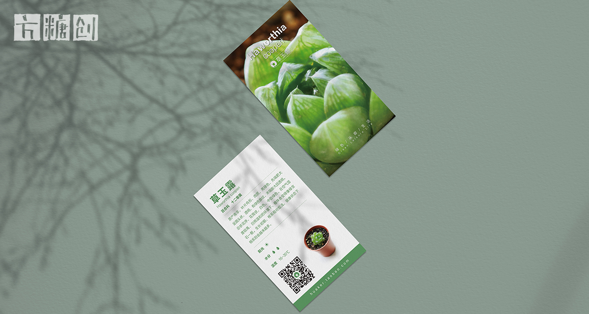 品牌形象與建設