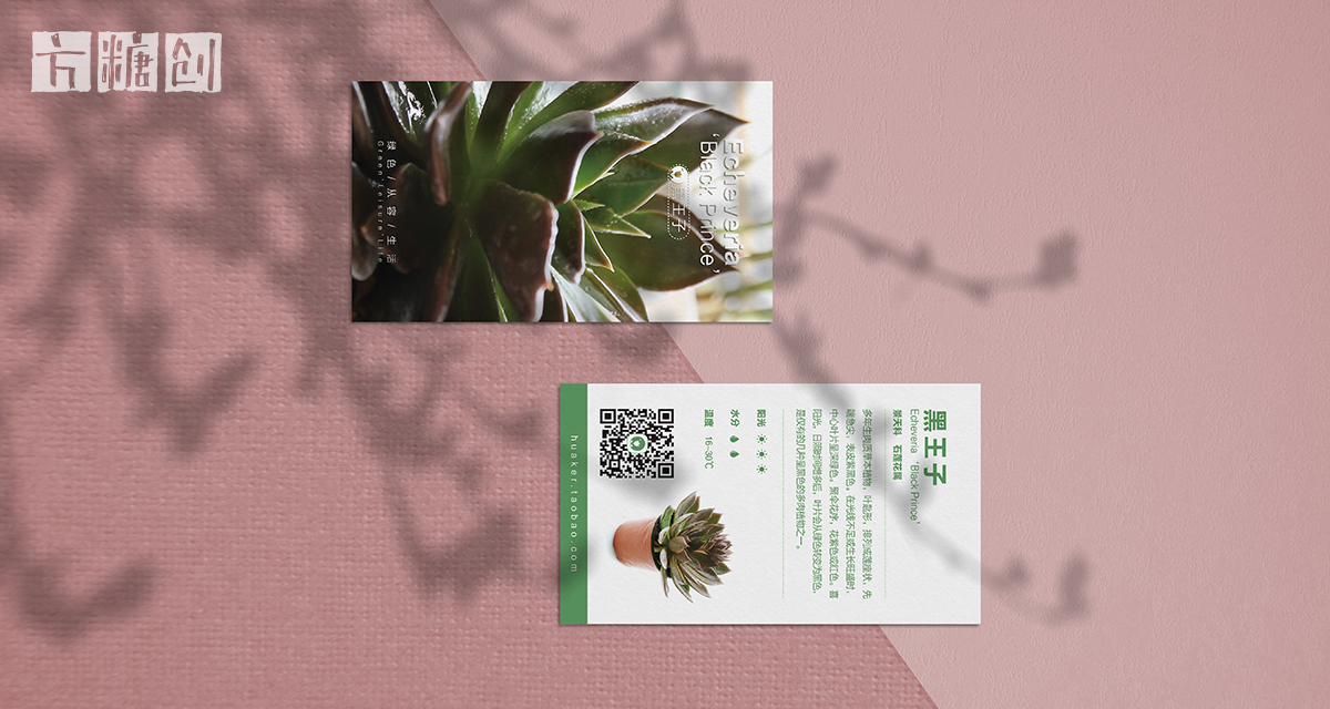 品牌形象與建設