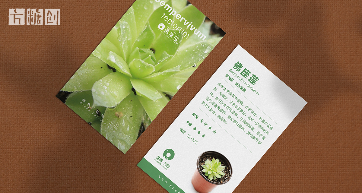 品牌形象與建設