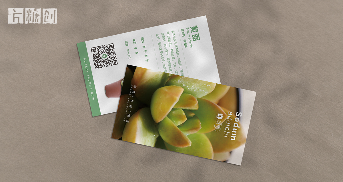 品牌形象與建設