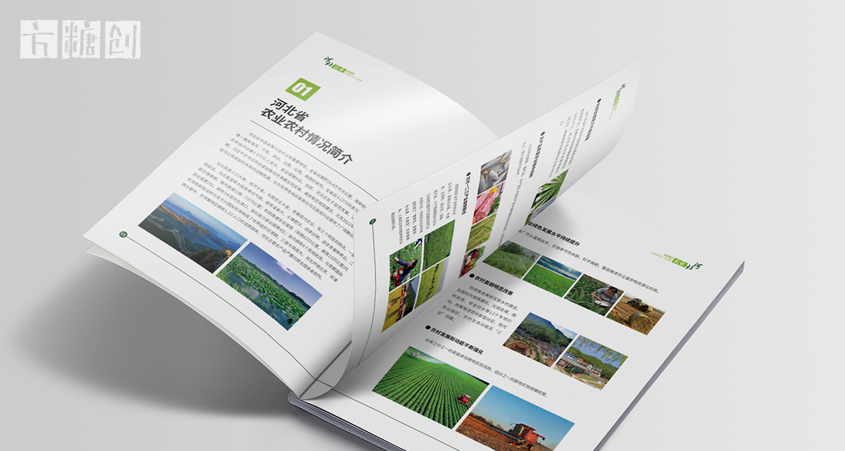 品牌形象與建設