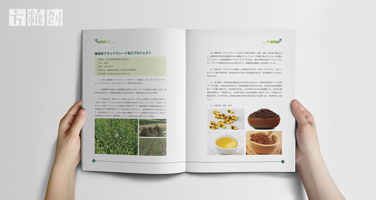 品牌形象與建設