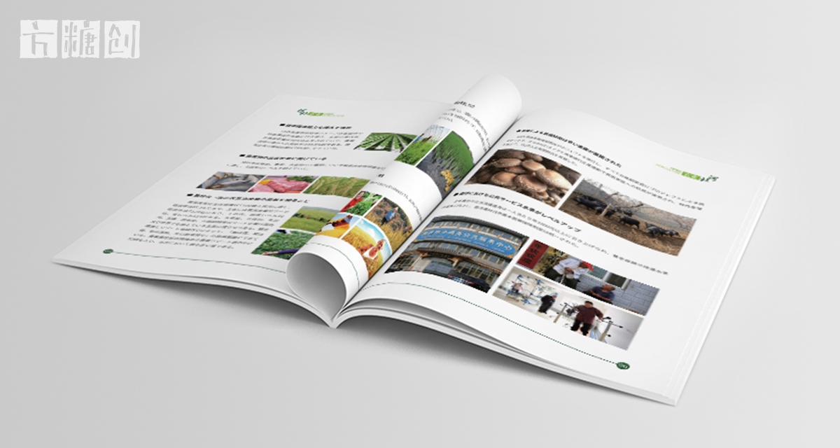 品牌形象與建設