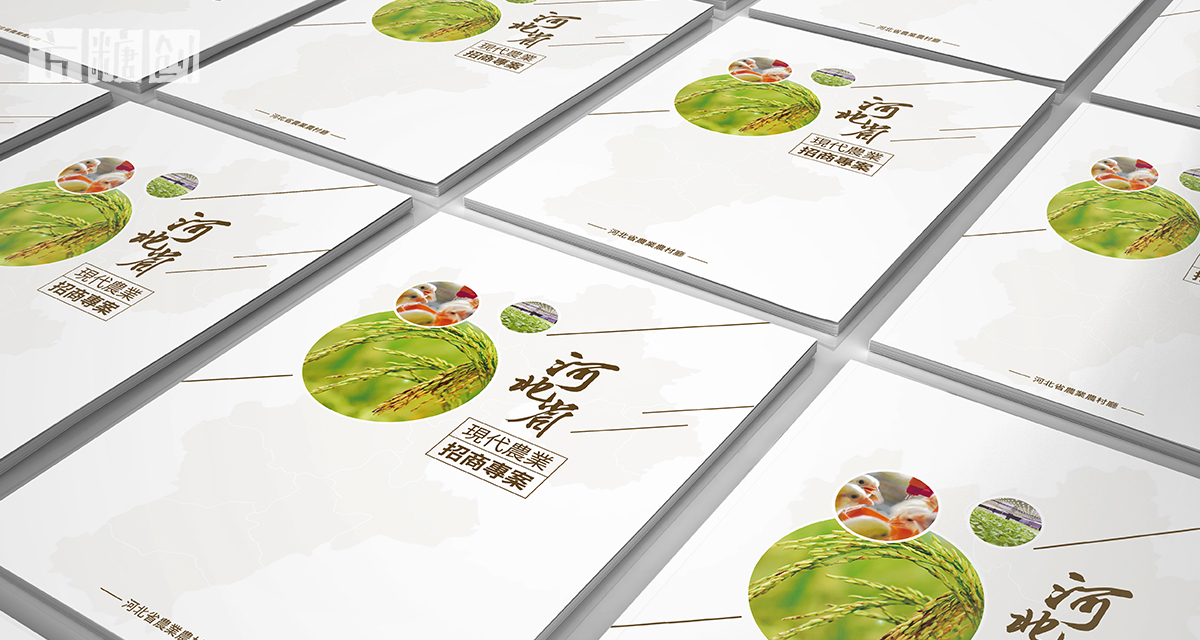 品牌形象與建設