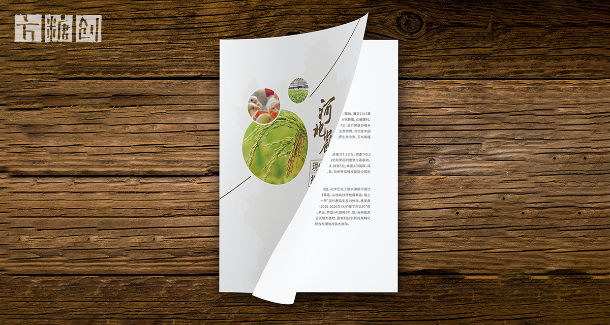 品牌形象與建設