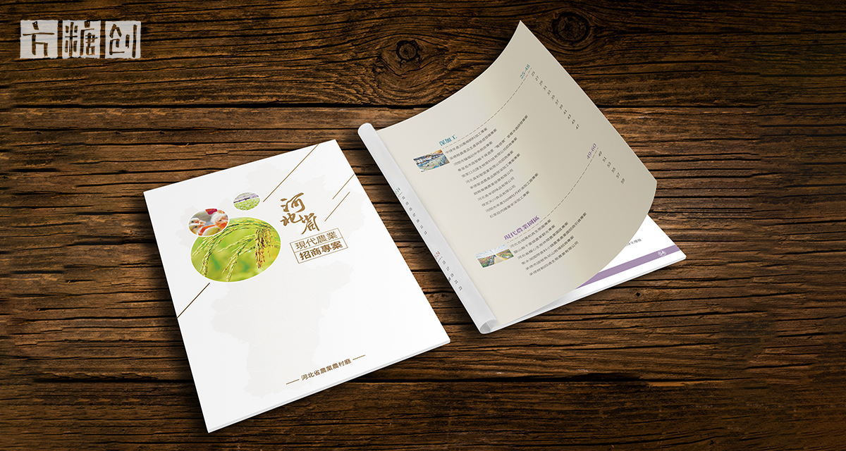 品牌形象與建設