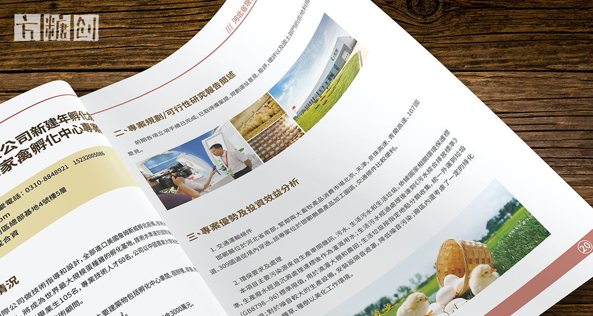 品牌形象與建設