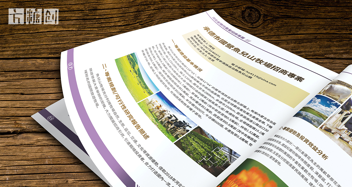 品牌形象與建設