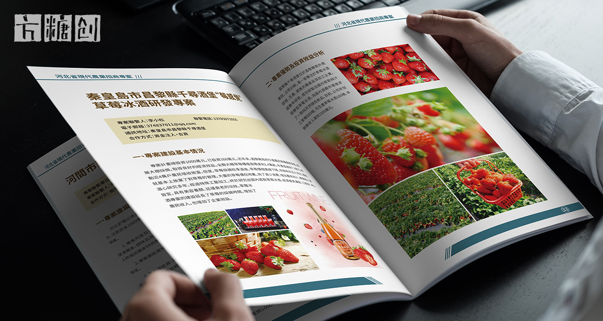 品牌形象與建設