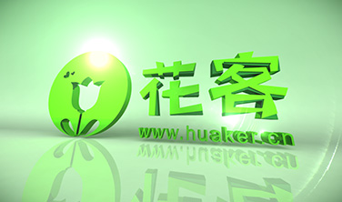 《花客》`影視包裝·片頭_8秒