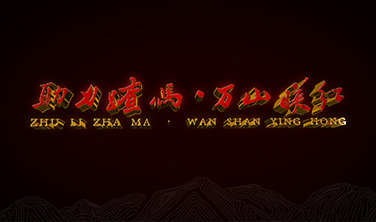 《助力蹅馬·萬山映紅》·映山紅合作社`企業宣傳片