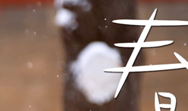 《春雪》`短視頻