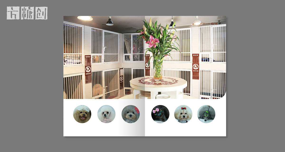 品牌形象與建設