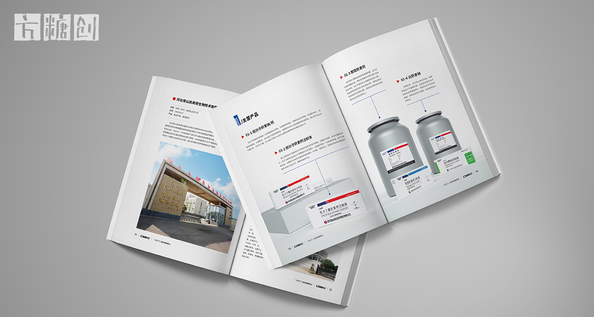 品牌形象與建設